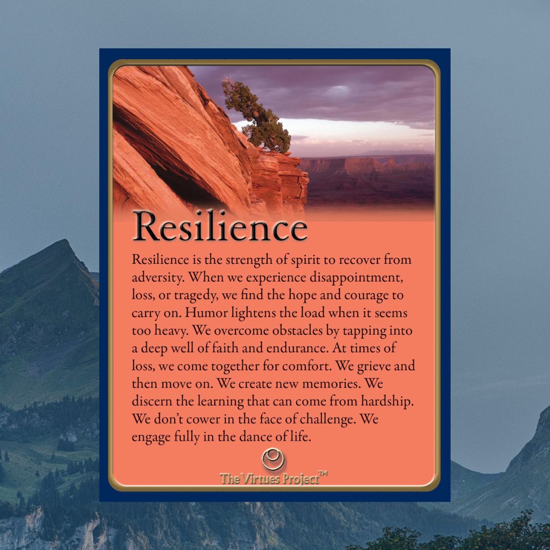 Tomorrow at 5PM EST! Community Leadership Circle - Resilience 🏔🔥 Registration for our free monthly Circle is always open at the link in our bio 👀