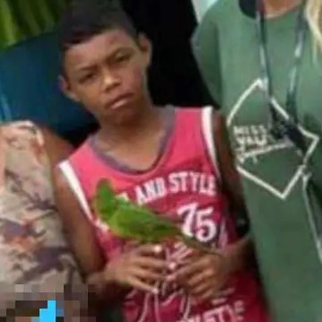 Crimes Reais tweet media