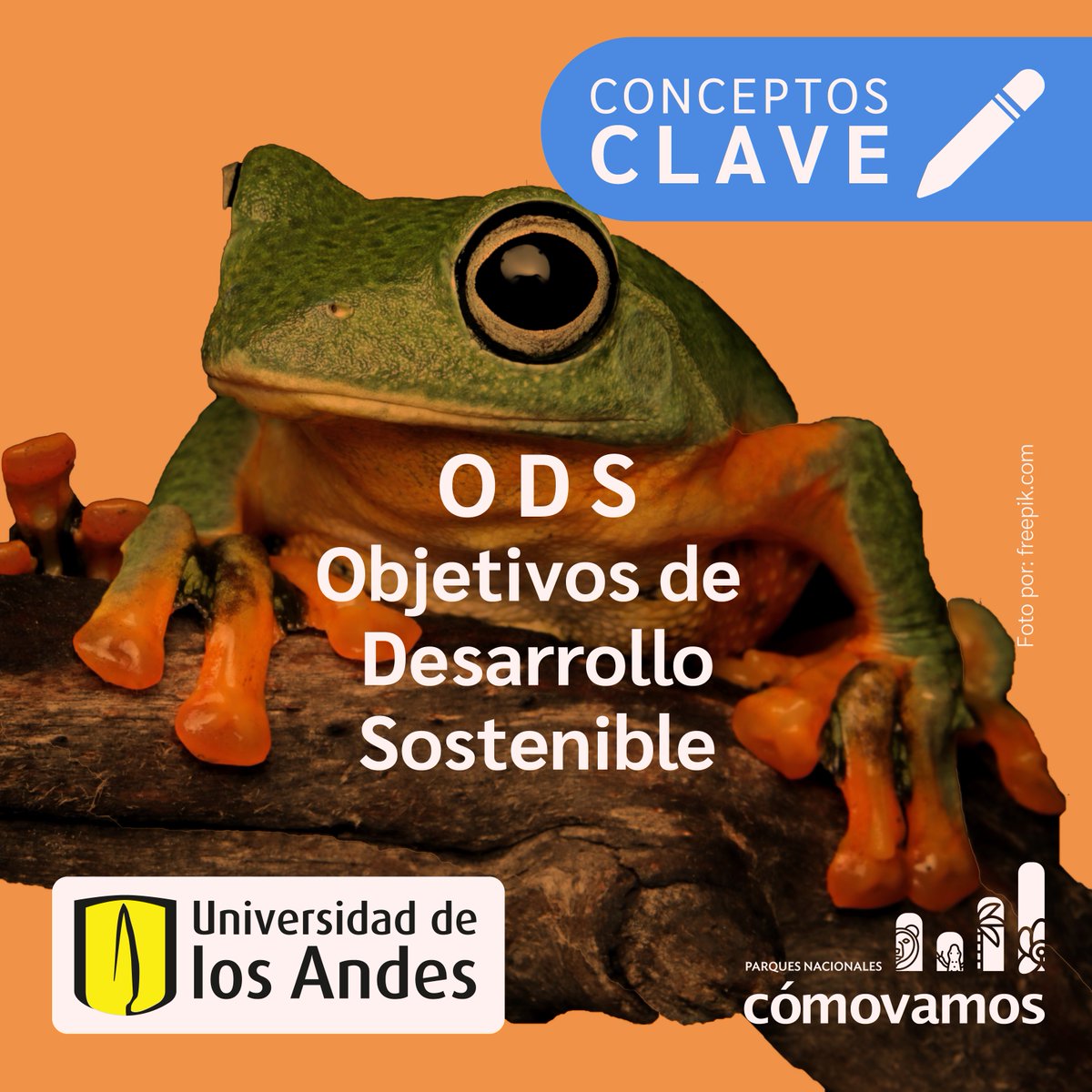 ParquesComoVan's tweet photo. Otro de nuestros #ConceptosClave es Objetivos de Desarrollo Sostenible (ODS) 🐞
¿Saben qué es?
🐠Hoy les compartimos esta entrega en conjunto con nuestro miembro aliado @Uniandes
🧵 https://t.co/OfdL3EPzXf
