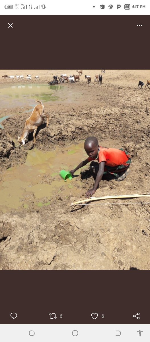 GatunaLiyan's tweet photo. My heart pains seeing such kind of life children dropping out of school,animals dieing , families getting no access to clean water and food , families break up let us embrace leaving no one behind in this trying times 
#PayUp4LossAndDamage 
@ActivistaIsiolo  
@EcoVistaIsiolo https://t.co/slMmHK8jye