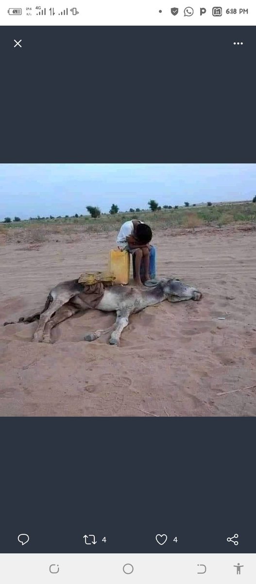 GatunaLiyan's tweet photo. My heart pains seeing such kind of life children dropping out of school,animals dieing , families getting no access to clean water and food , families break up let us embrace leaving no one behind in this trying times 
#PayUp4LossAndDamage 
@ActivistaIsiolo  
@EcoVistaIsiolo https://t.co/slMmHK8jye