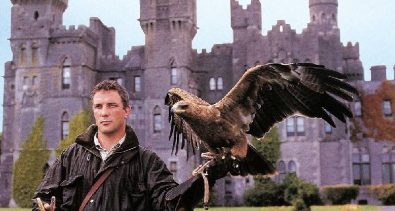 Ireland Writer Tours tweet media