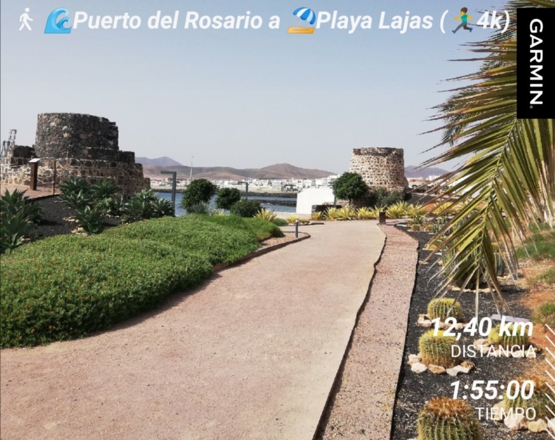 BiciGranCanaria's tweet photo. 🏝️@iFuerteventura
Día para caminata, carrera y nadar en
#PuertoDelRosario 🌊 @VisitPuerto
🚶♂️8k🏃♂️4k🏊♂️1025m
☀️⌚13🌡️27
#Fuerteventura 🇮🇨 #Canarias
#DIABETESTIPOFREE
#MUÉVETEFRENTEALCÁNCER
#Caminar #Walk
#Correr #Run
#ImRunner #SoyCorredor
#Natación #Swimming
#NataciónAguasAbiertas https://t.co/olKnlAtwc2