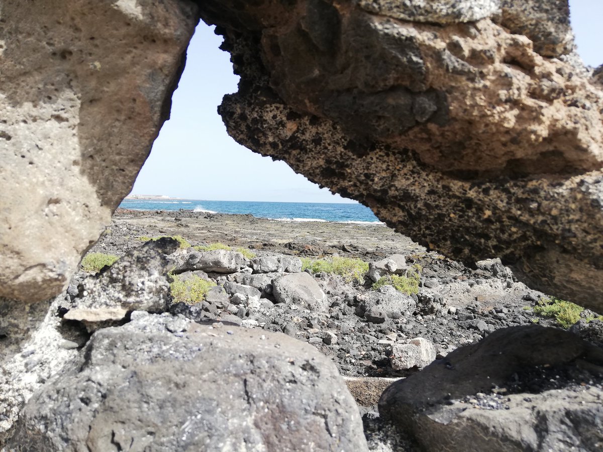 BiciGranCanaria's tweet photo. 🏝️@iFuerteventura
Día para caminata, carrera y nadar en
#PuertoDelRosario 🌊 @VisitPuerto
🚶♂️8k🏃♂️4k🏊♂️1025m
☀️⌚13🌡️27
#Fuerteventura 🇮🇨 #Canarias
#DIABETESTIPOFREE
#MUÉVETEFRENTEALCÁNCER
#Caminar #Walk
#Correr #Run
#ImRunner #SoyCorredor
#Natación #Swimming
#NataciónAguasAbiertas https://t.co/olKnlAtwc2