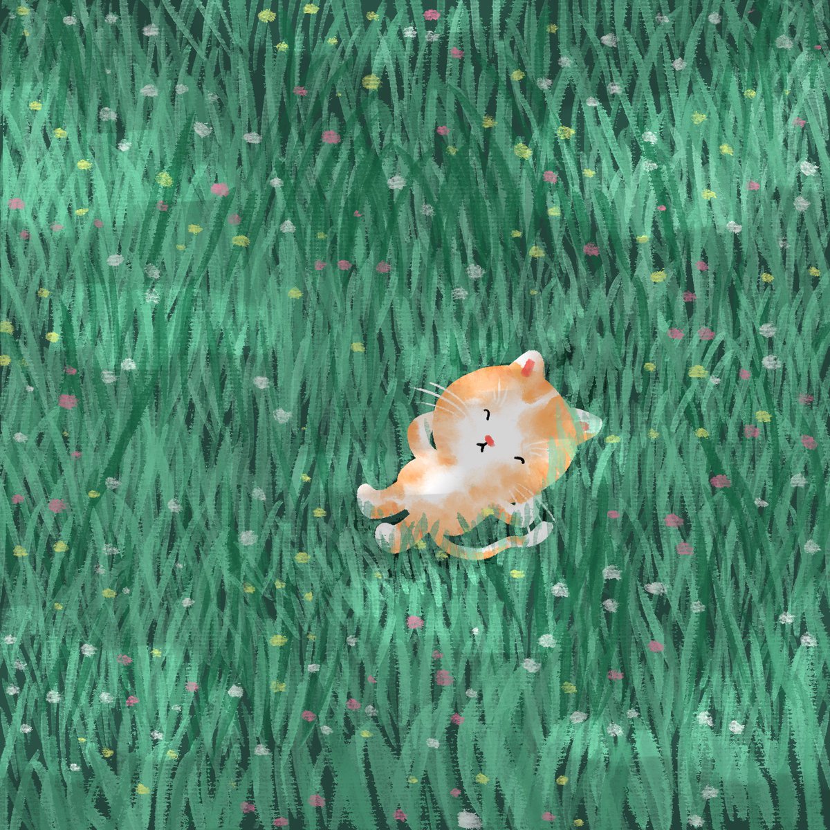 Take a nap
Mint #formfunction 
0.5 sol

formfunction.xyz/@littlebirth