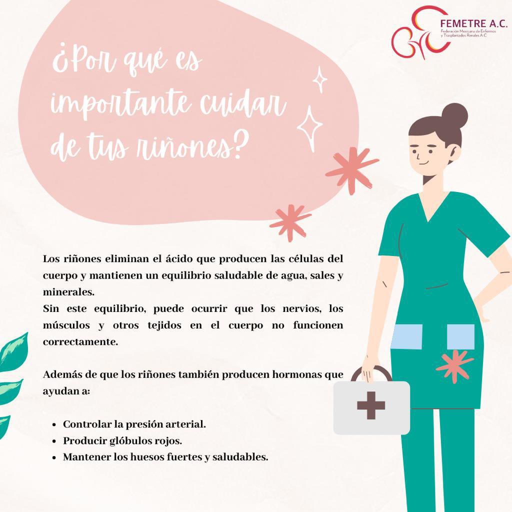 FEMETREAC1's tweet photo. Los riñones cumplen una función muy importante en nuestro cuerpo, ¡Debemos cuidarlos! 💚💪🏼 https://t.co/RbizOHzs4Z