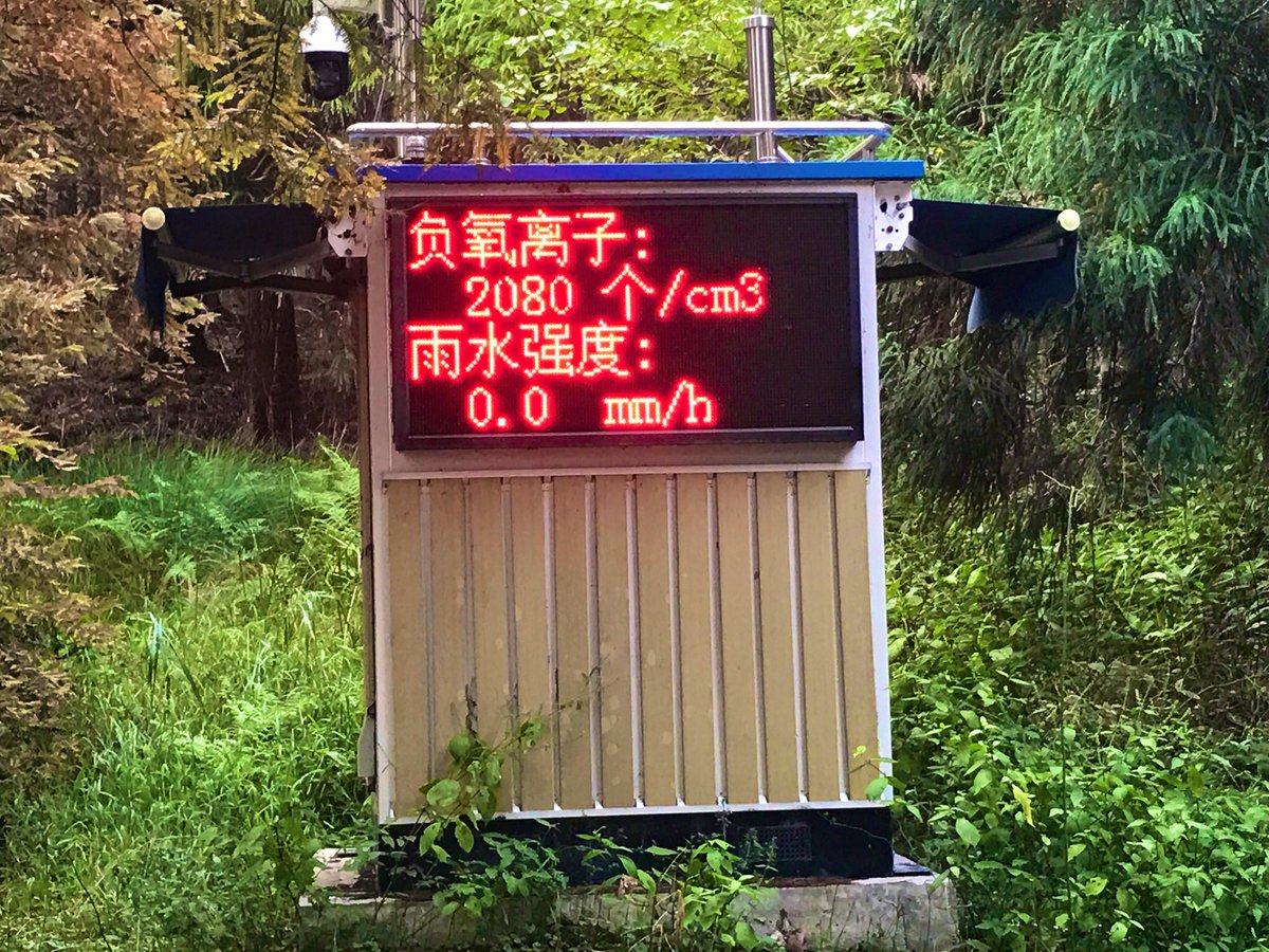 快乐的小河🇨🇳 tweet media