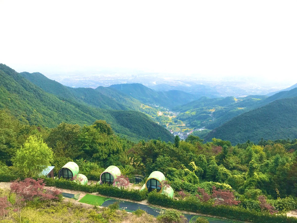 快乐的小河🇨🇳 tweet media