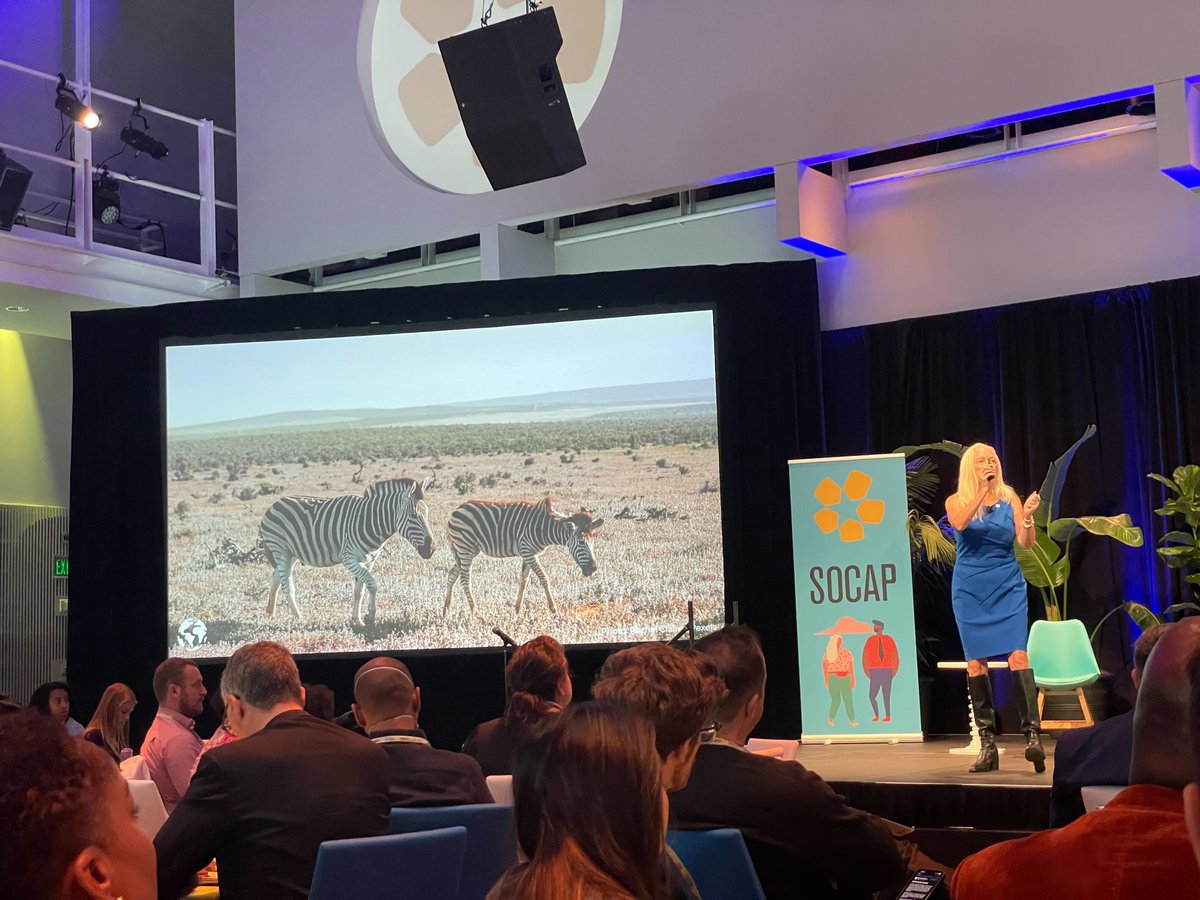 Daniel Naim tweet media