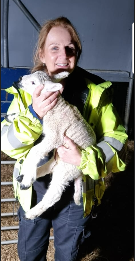 ASPSouthGlos's tweet photo. Lambing at Grimsby Farm. Kingswood Beat Team got to meet the new additions to the farm the other month. Kay even got to have a cheeky cuddle #lambingseason #PCSOcuddles https://t.co/lU6W7T4fYf