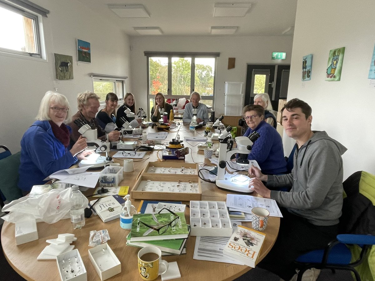 flygirlNHM's tweet photo. Honestly teaching flies today was the best of fun! There was squealing, oooooing, aaahhhhing and everything in between. 

#teamFlies @cumbriawildlife https://t.co/plj5emhnFc