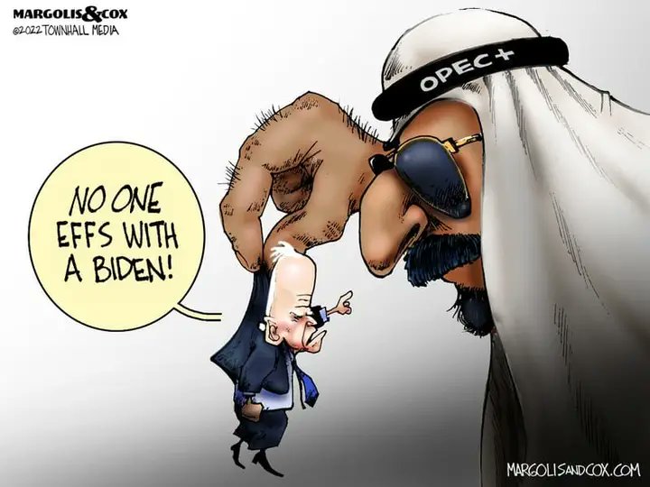Grund1e's tweet photo. @runawa777 @rebeccajoc @TheDemocrats @JoeBiden is unfit for office!

#Fraud46 https://t.co/g2GSeNDU93