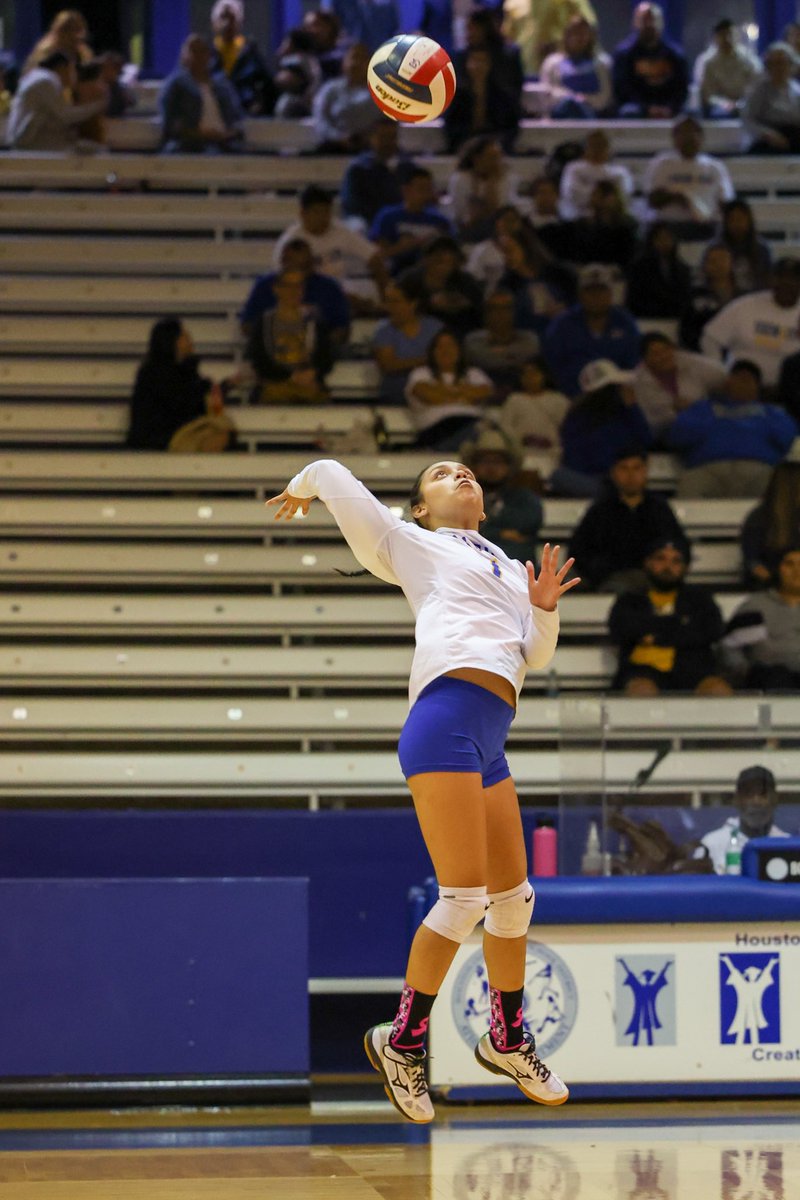 Milby Photography tweet media