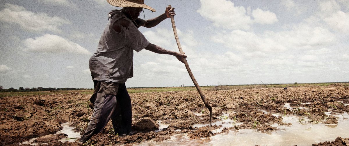 Our call to COP27 resembles that of last year because policy makers still need to:
➡️Acknowledge the severe climate vulnerability of communities enduring conflict.
➡Bolster climate action in these settings.
➡️And support it with adequate climate finance.
shop.icrc.org/download/ebook…