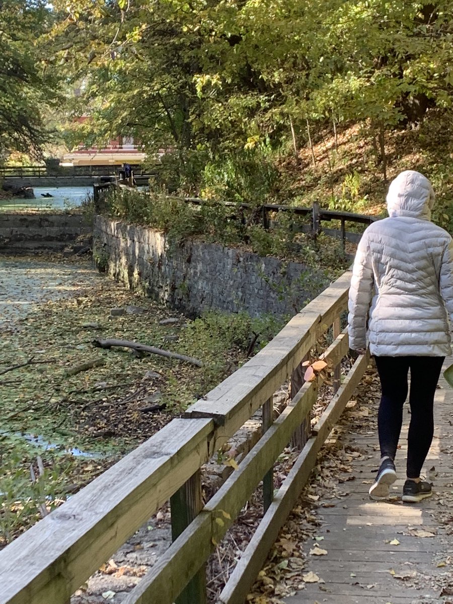 FlaxbeardMark's tweet photo. #ThingsAreLookingUpOmaha! 28th edition. Morning walk at Schram Park. Short trails with hills and beautiful Foliage. Short drive south of Omaha. @Jean_Stothert @Joe_Flax @jaflax @flaxbeer @LaineyFlax #Omaha #GoOmaha #Walking @NEGameandParks @outdoorlife https://t.co/QA2WpCp1Hz