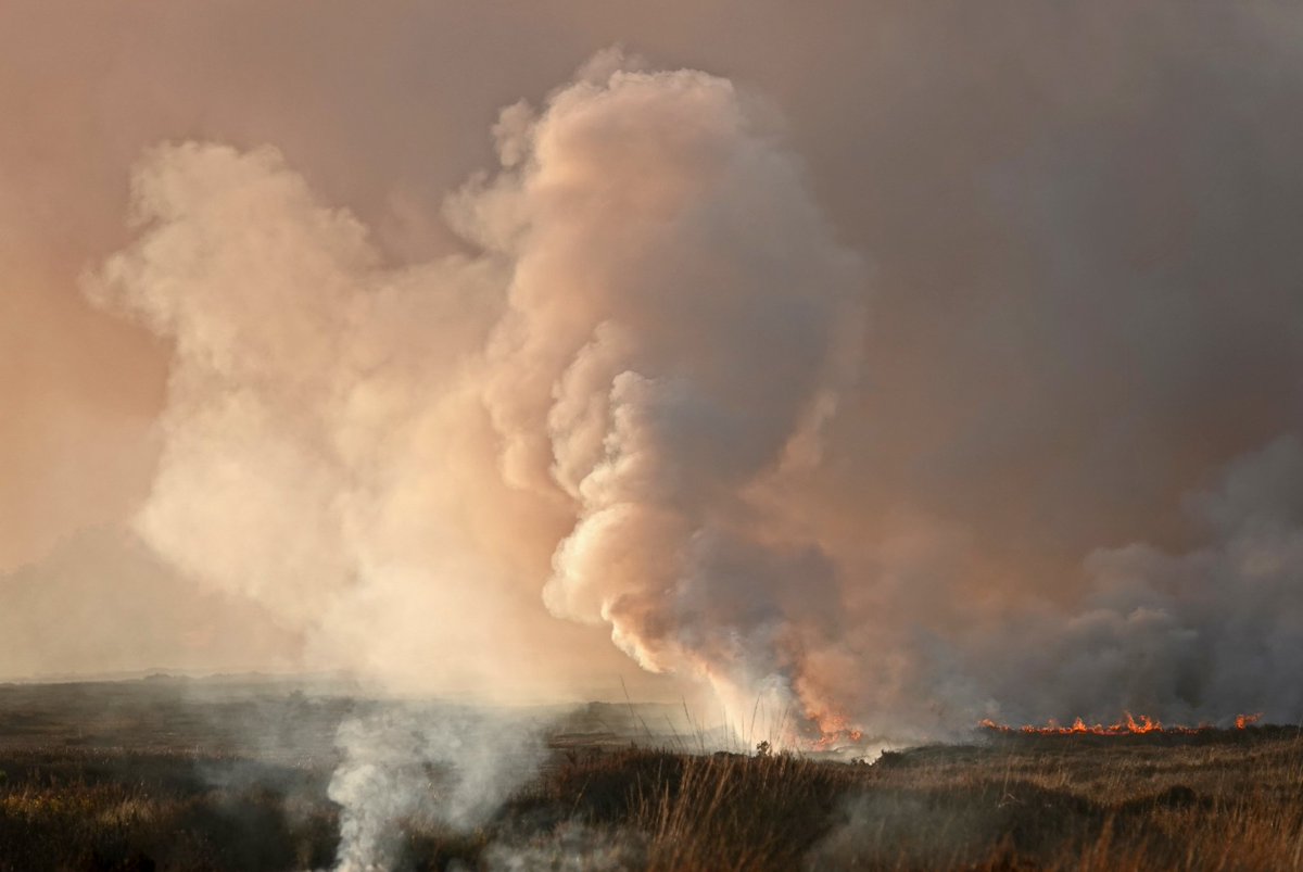 What if I told you this isn’t a scene from the war in Ukraine? It’s actually a grouse moor near Sheffield, where carbon-rich peatlands are being set on fire to provide heather for birds reared for sports shooting. Time for a ban on burning to protect our environment.