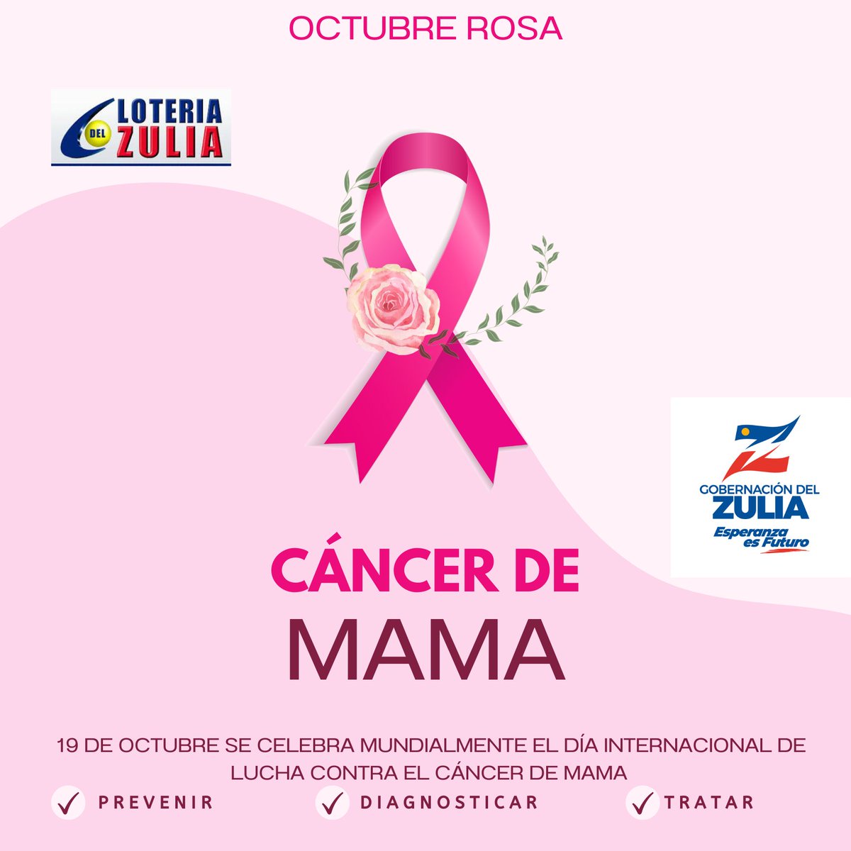 LoteriaZulia's tweet photo. Hoy 19 de octubre, se celebra mundialmente el día Internacional de la lucha contra el cáncer de mamá, con el objetivo de crear conciencia a las mujeres.
¡Tócate y ataca el cáncer a tiempo! 
 
#cancerdemama 
#diainternacionalcancerdemama 
#famac 
#caminatas 
#mesrosa 
#19oct https://t.co/FbnIAppRQ4