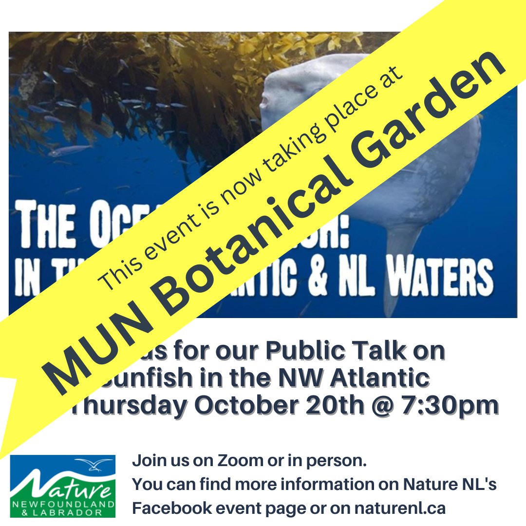 Our public talk this month will take place @MUNBotGarden. Join us for an evening on ocean sunfish with Everett Sacrey from Whale Release and Strandings! See you at 7:30pm tomorrow! #naturenl #explorenl #newfoundlandandlabrador