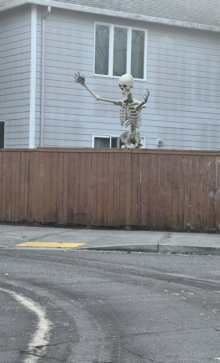 megan7331's tweet photo. @KarenKilgariff another 12 foot skeleton outside a local elementary school.. terrorizing the children https://t.co/g8BOuB5N3J