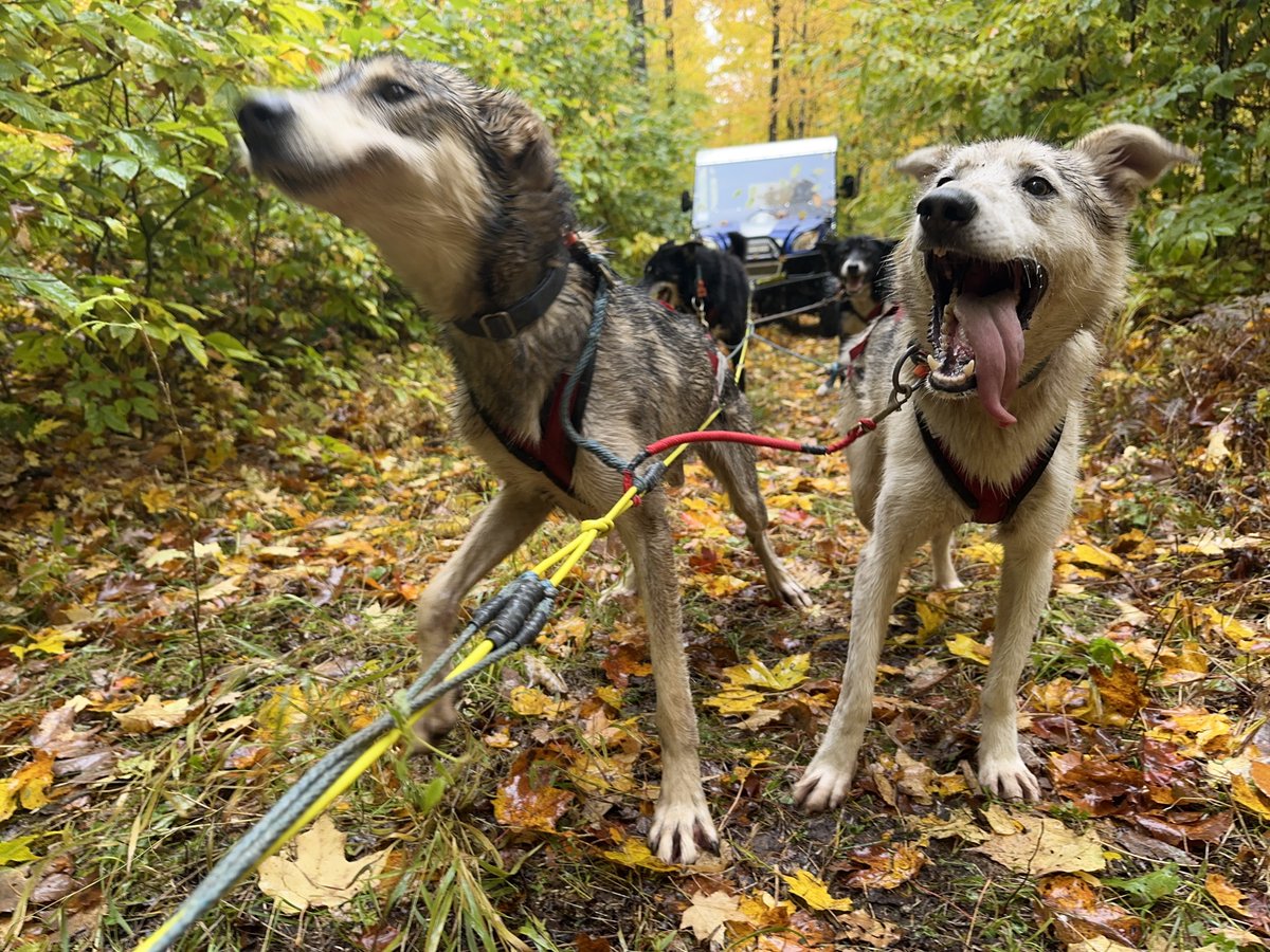 Blair Braverman tweet media