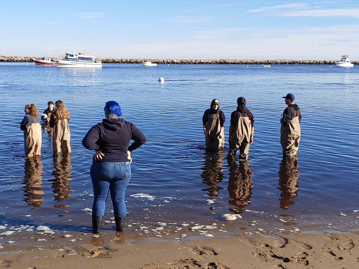VictoriaSalo's tweet photo. Marine Biology class at UNE getting plankton samples. https://t.co/xJEMDC0Tco