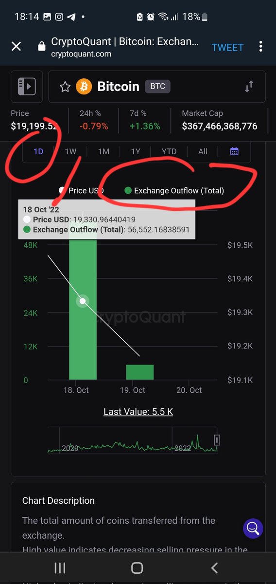 Just Beini tweet media