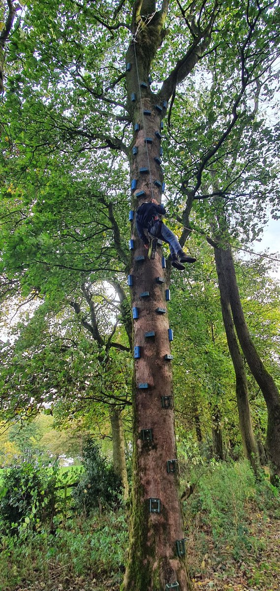 High in the tree tops 😯😯😯 @ololprimary_HT #makeadifference