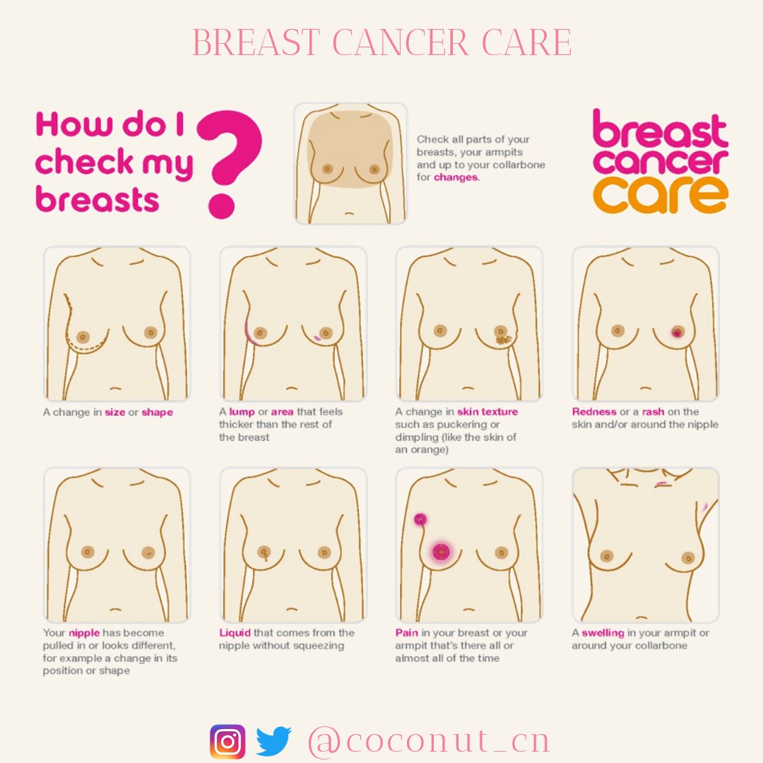 Poncho plaza tweet media