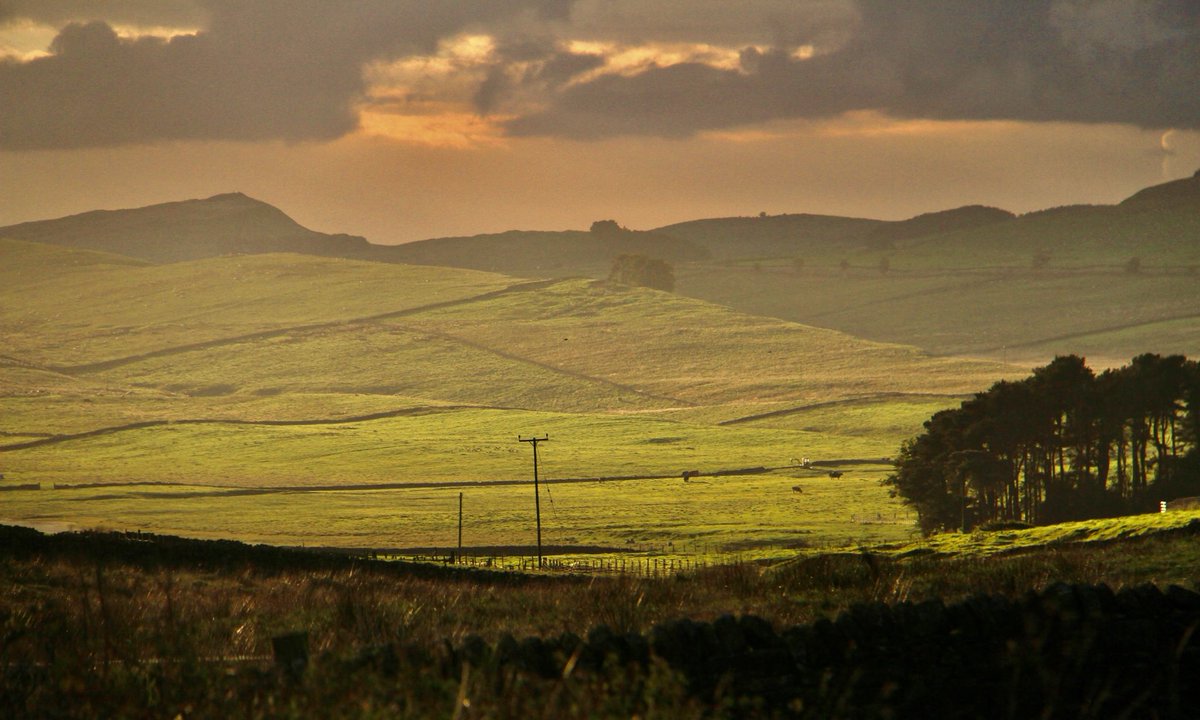 MichaelSadgrove's tweet photo. The #Stanegate was a Roman road linking the forts of Luguvallium (Carlisle) & Coria (Corbridge). It was built c50 years before #HadriansWall. This is a view from the road up to the whin sill crags that carry the Wall’s central section.
#RomanWallWednesday https://t.co/T36ZrRSbV9