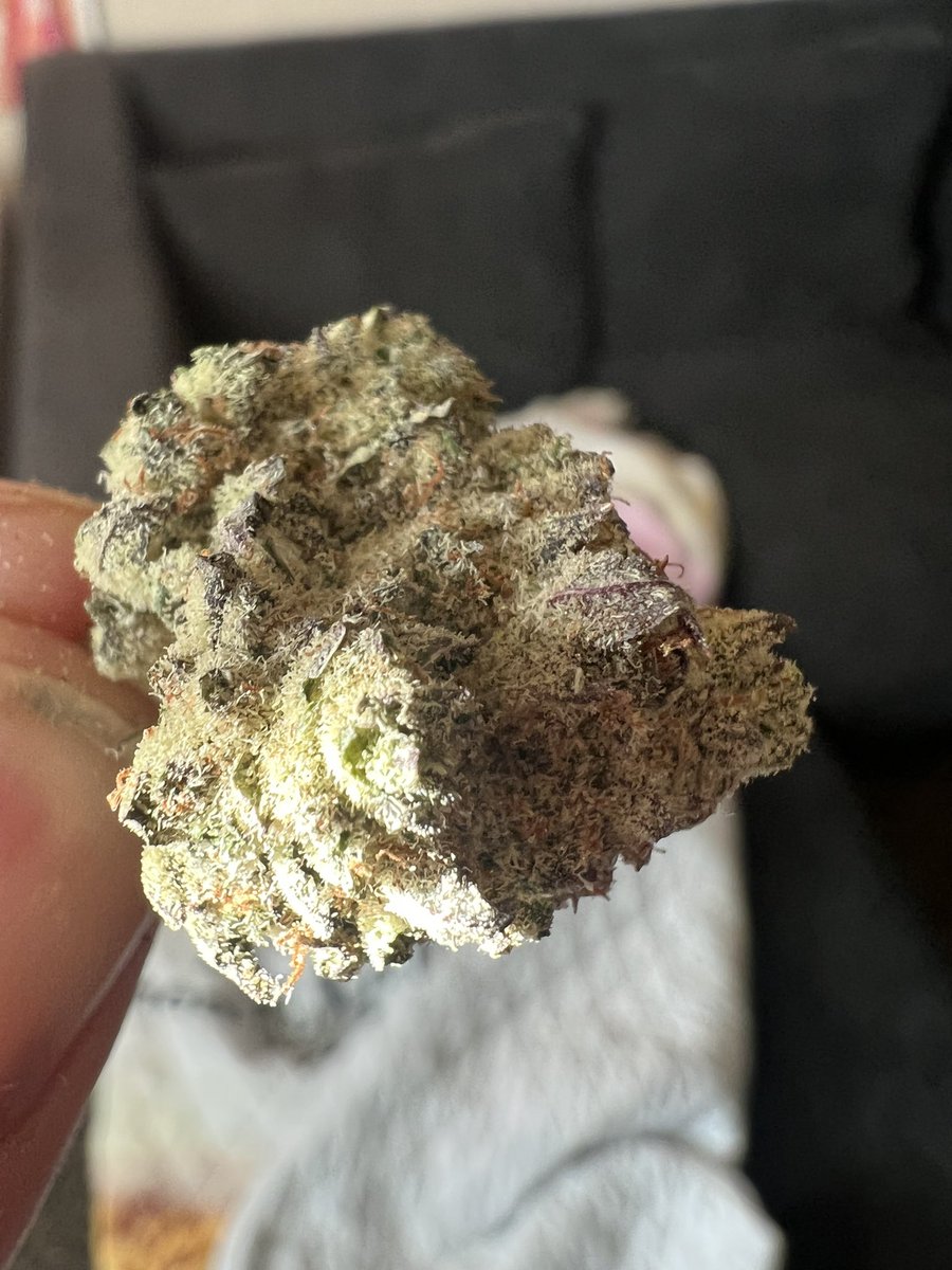 OxbeastEth's tweet photo. Look at this keef covered perfection. Callee wedding crashes. Itโs a hybrid-wedding cake and purple punch. #DefiHigh https://t.co/4mjFsieaQv