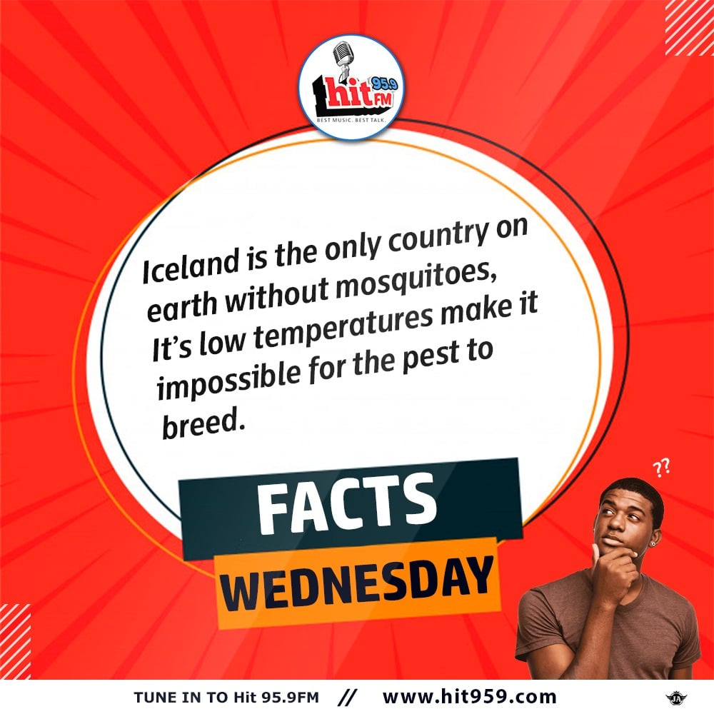 HitFMCalabar's tweet photo. Hit FM #FactsWednesday

Did you know?

Iceland is the only country on earth without mosquitoes,  It’s low temperatures make it impossible for the pest to breed.

#hitfmfactswednesday #facts https://t.co/jrZZFTqfLY