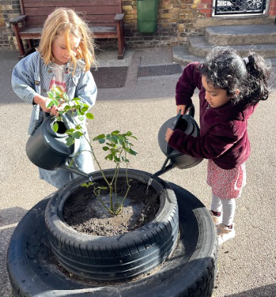 Today we learnt about John Ystumllyn. We remember him today because he was one of the first known black gardeners. A yellow rose was named after him. Yellow symbolises friendship. We planted a rose in the playground for Black History Month to help us to remember John’s story.
