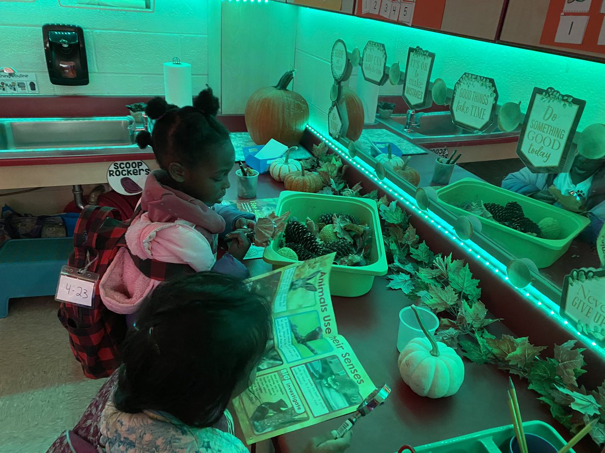 fiorekinders's tweet photo. Hands on learning happening in our Fall Investigation Station! 🎃🍁🍂 #WEareLakota #NeedToSucceedCECS @Creeksidetweet https://t.co/FjsGo519fc