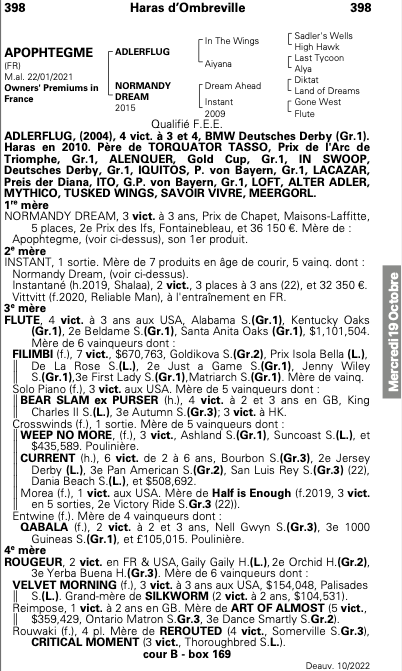 📙 Current Top Lot on day 3 of the @InfoArqana October Yearling Sale is LOT 398, an Adlerflug colt out of winner NORMANDY DREAM who is from the direct family of dual Gr.1 winner FLUTE The yearling was offered by @HarasOmbreville and purchased by @Bozzibloodstock for €125k 💥
