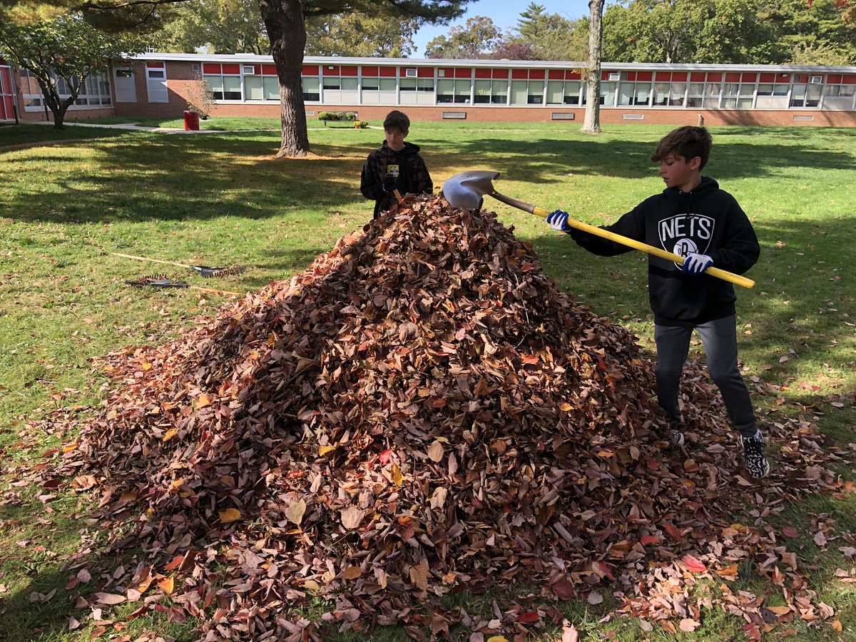 WheatleySchool's tweet photo. Beautifying our grounds benefits our school community! #DOSL #ewlearns https://t.co/Hq8ESAqDTD
