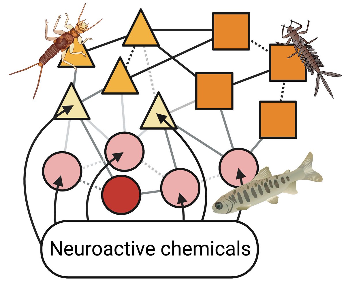 Fred_Windsor's tweet photo. PhD opportunity in my new lab @cardiffuni 

Investigating how neuroactive chemicals disrupt ecological networks in freshwater ecosystems (organisms to ecosystems)! 

In partnership with @DwrCymru and @CHEMTrust 

Get in touch if you are interested

Please RT https://t.co/OlfPjyuom3