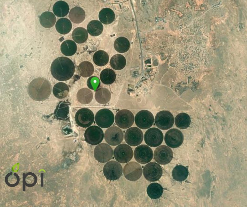 evja_'s tweet photo. 🇶🇦 Farming in the #Qatari desert with #OPI!
Our system can support #agriculture in areas affected by #drought and #climatechange. With our partner #AFIS, we installed #OPI in this #desert area, it will improve unproductive #land and livestock forage supply. #evja #opi #qatar #AI https://t.co/oQ7OgoxcoS