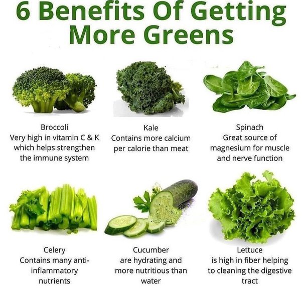 KristenJakobitz's tweet photo. Why eat green foods? Here are 6 reasons.
#nutrition #healthy https://t.co/W1YnBuFTwb