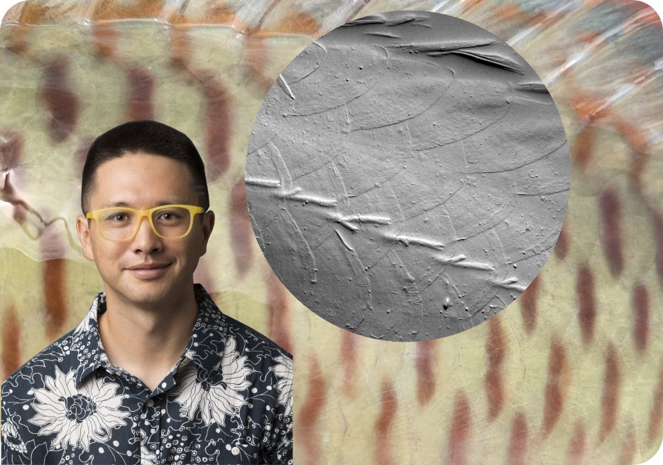 Purdue Ecology & Evolutionary Biology tweet media