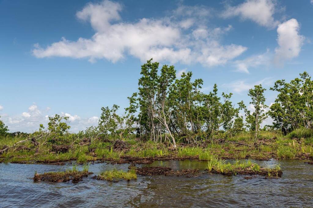 Hurricane damage from Ida #hurricane #hurricanedamage #marsh #marshdamage #wetlands #waterscape #landscapephotography #leica #leicasl2 #leicaphotography instagr.am/p/Cj5lR0HLDaX/