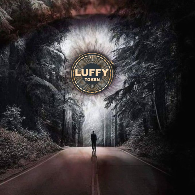 cryptothms's tweet image. Theres always a valid reason to buy more #LuffyToken there is no excuse!! #P2E #x20