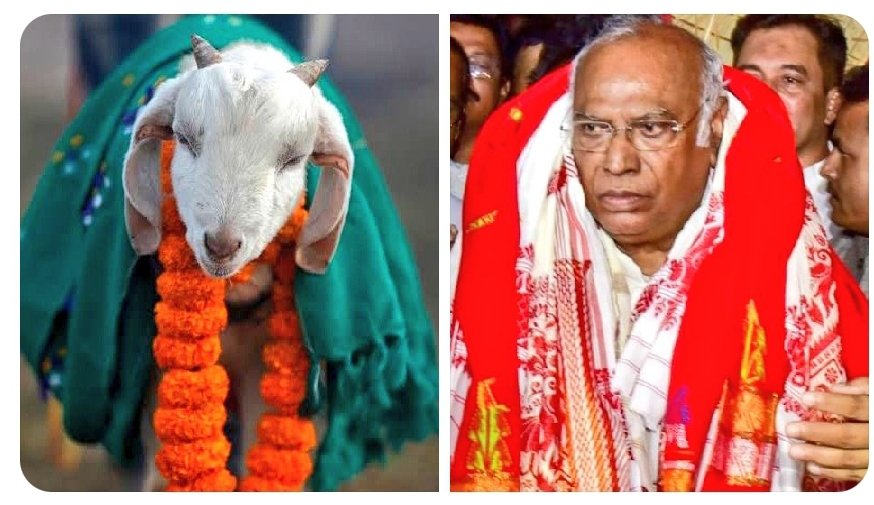 BHARDA MANOJ मोदी जी का परिवार tweet media