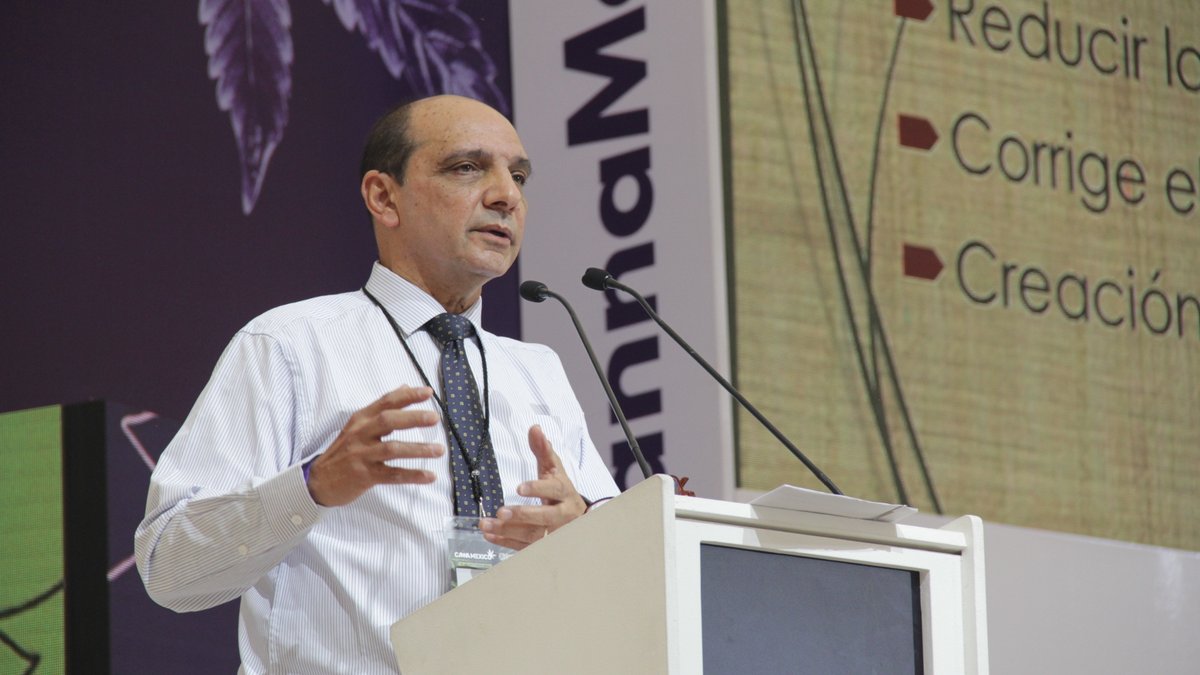 Centro Fox tweet media