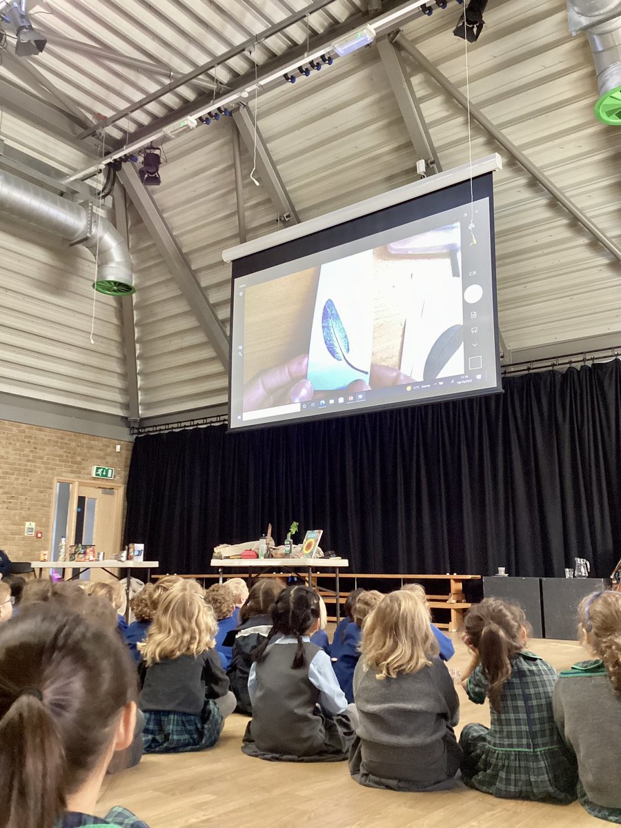 RPPS_Library's tweet photo. We have had a wonderful #GrowthThemeWeek @RPPSlondon! Thanks to @RPPS_Science &amp; @RPPS_Eco! We loved learning about the magic of plants with @pond_dipper #IAteSunshineForBreakfast by @FlyingEyeBooks. Thank you for inspiring us all from @RPPS_Library ❤️🌻❤️📖 https://t.co/I8i4ztCFAO
