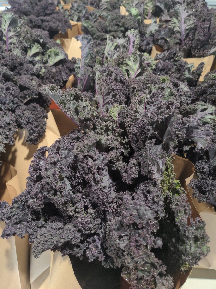 YorkRegnFoodNetwork tweet media