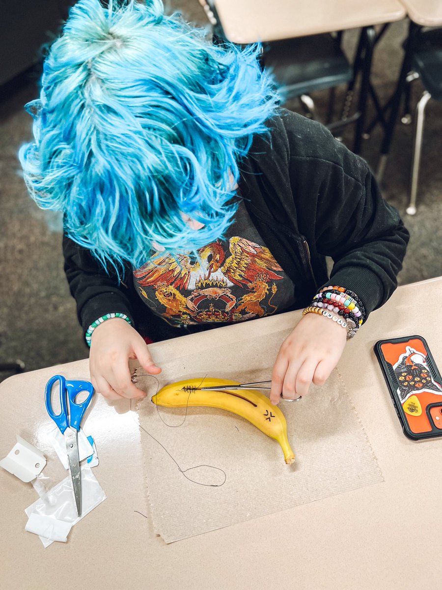 IVC321LC's tweet photo. Working on our suturing skills in Anatomy today! 🤕 @IVCUSD https://t.co/c5U7BfcMMB