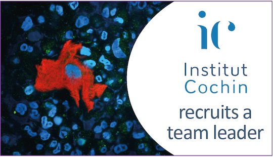 <a href="/InstitutCochin/">Institut Cochin</a> is opening a position for a scientist wishing to establish his/her independent team. Application deadline January 27, 2023
institutcochin.fr/en/recruitment…
#recruitment 
<a href="/univ_paris_cite/">Université Paris Cité</a> <a href="/Inserm/">Inserm</a> <a href="/CNRS/">CNRS 🌍</a>
