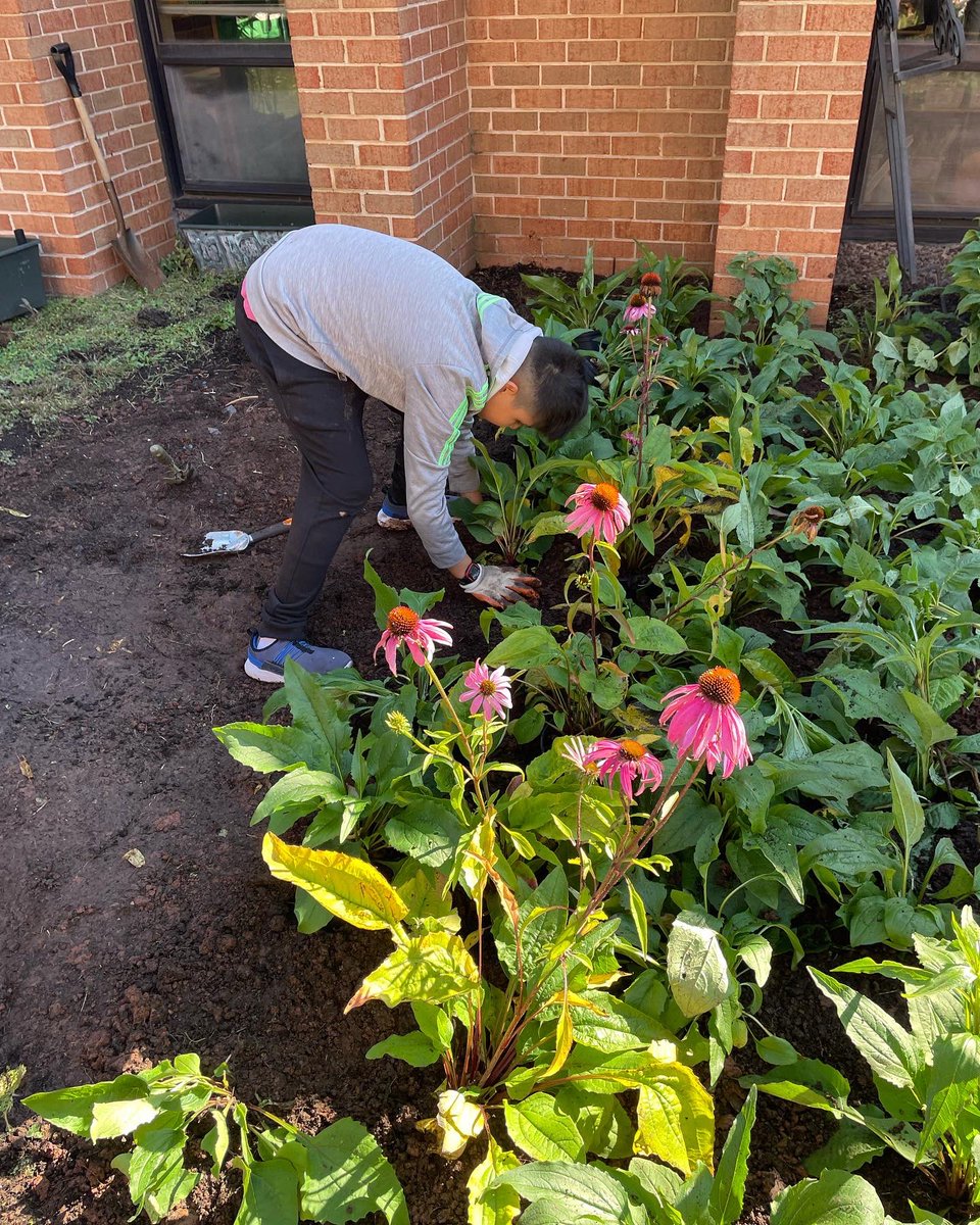GbwTeam6's tweet photo. 6th graders volunteered to help with the revitalize, restore, and replant watershed project! @GBW_ES #greenthumbs https://t.co/ImQ2OWHE20