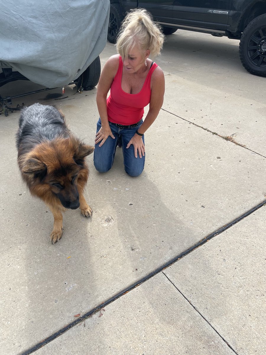 debster403's tweet photo. Home after surviving hurricane Ian to be w/my long haired shepherd “Ryder” 🥰 https://t.co/QLWi3oLmAb