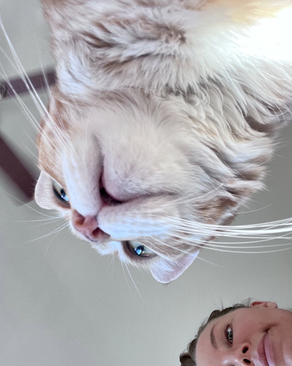 Boo says “good morning beautiful” 🤩